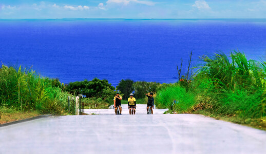 一日　“沖縄と出会う“　サイクリングツアー